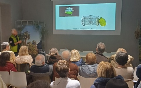 Dal lulav alla Rosa Bianca: simboli di resistenza e memoria al Floriseum di Sanremo