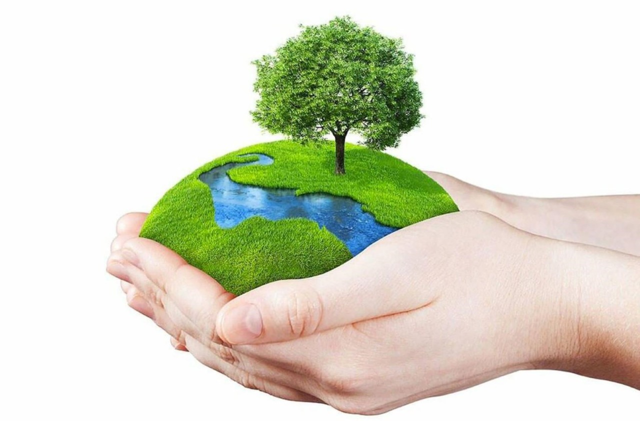 Dieci anni di cinema per il pianeta: torna il Cineforum di Legambiente