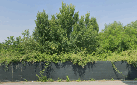 Ex Acli Casa, il Comune di Coccaglio verso l’acquisto del terreno