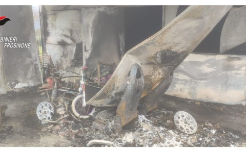 Fiamme in casa, i carabinieri salvano un barboncino e portano via la bombola del gas