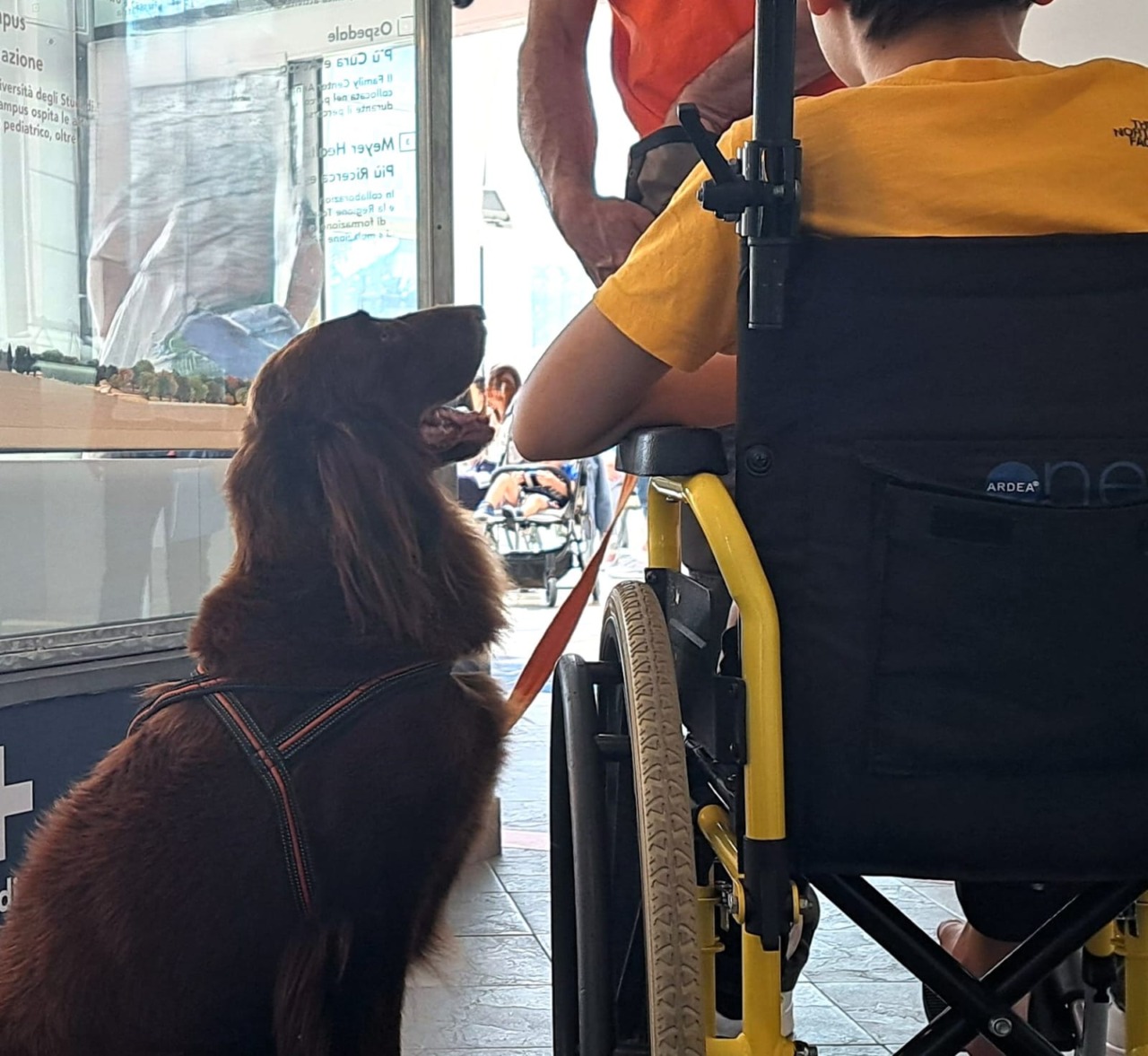Firenze: l’ultimo saluto a Kia, il cane che aiutava i bambini malati