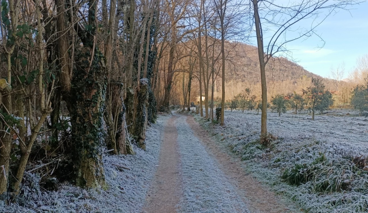 Freddo intenso in Lombardia: a Livigno temperature fino a –22