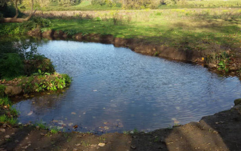 Giornata Mondiale delle Zone Umide, WWF richiama l’attenzione su tutela e biodiversità