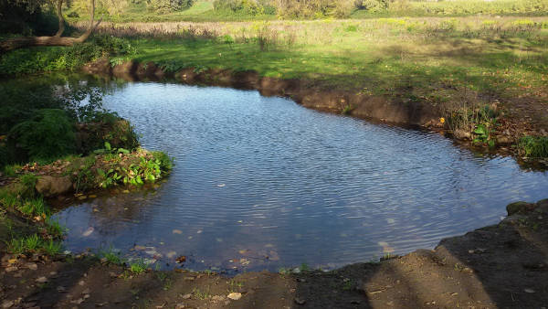 Giornata Mondiale delle Zone Umide, WWF richiama l’attenzione su tutela e biodiversità