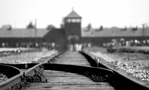 Giorno della Memoria 2026: due appuntamenti organizzati da Futura Lavagna