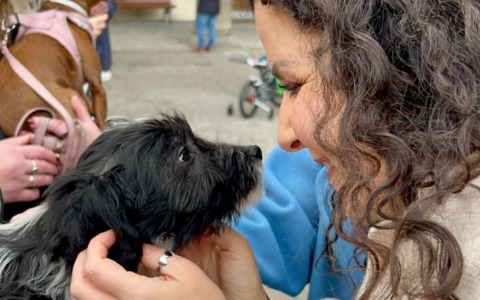 In centinaia in piazza per la benedizione degli animali