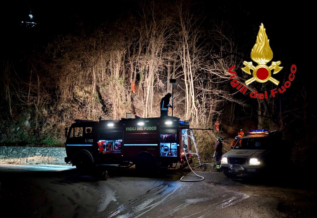 Incendio boschivo a Malonno: l’intervento dei Vigili del Fuoco