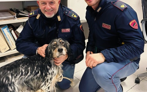 Macerata. Spaventato dai botti, si rifugia vicino ad un palazzo: cane salvato dalla Polizia