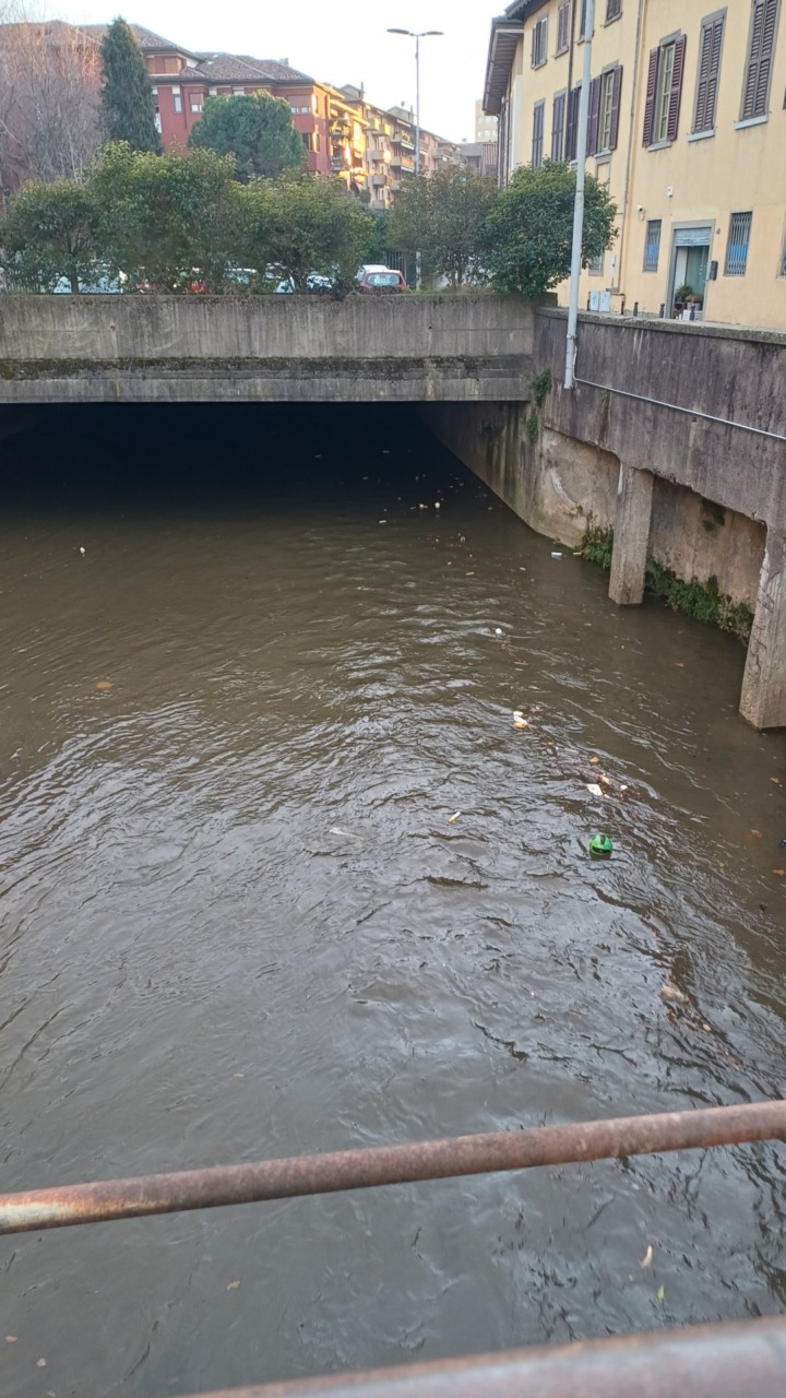 Quell’immondizia trascinata dalla Morla sotto il ponticello di via Borgo Palazzo