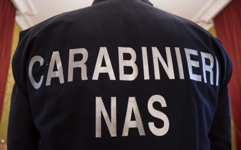 Multe per 500 mila euro e 21 quintali di alimenti sequestrati dai Nas di Torino nel 2025