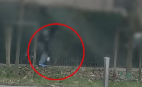 Nascondeva la cocaina sotto le foglie del parco: arrestato spacciatore