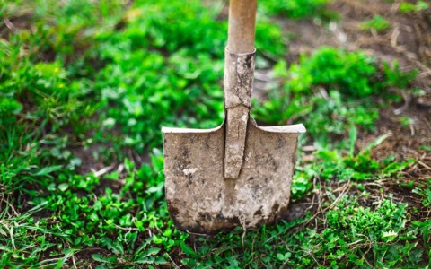 “Ol badèl” e la città più grande del mondo in bergamasco: “badilònia!