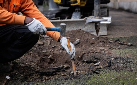 Riqualificazione arborea in via Battistini
