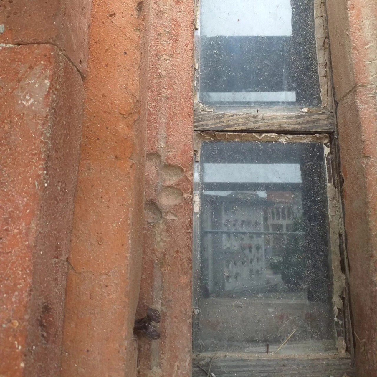 San Pietro, tra i mattoni romani spunta l’impronta di un cane di 2.000 anni fa