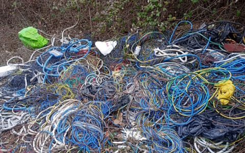 Scempio ambientale in via Mandela