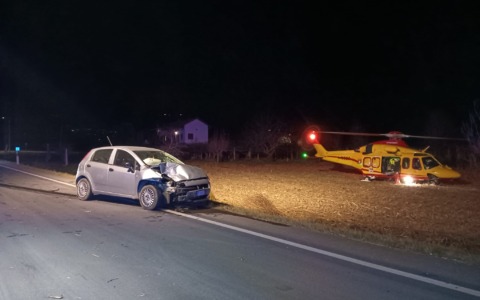 Scende dall’auto per salvare una volpe e viene travolto