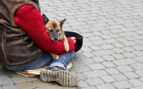 Sequestrati due cani usati per chiedere l’elemosina in corso Como