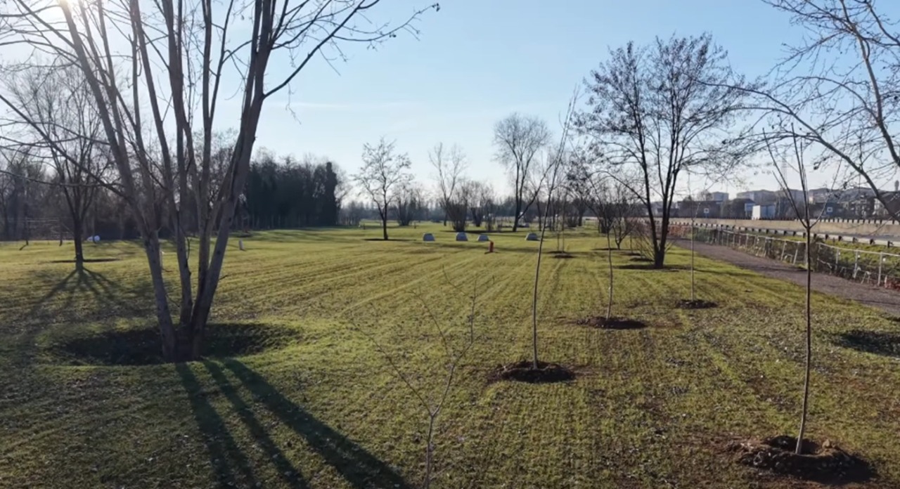 Settimo Torinese, Cantababbio: discarica bonificata, piantumati oltre 600 nuovi alberi