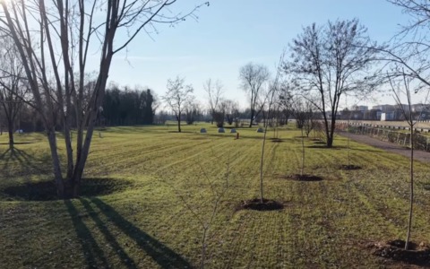 Settimo Torinese, Cantababbio: discarica bonificata, piantumati oltre 600 nuovi alberi