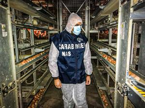 Sicurezza alimentare: controlli dei NAS anche in provincia di Lecco