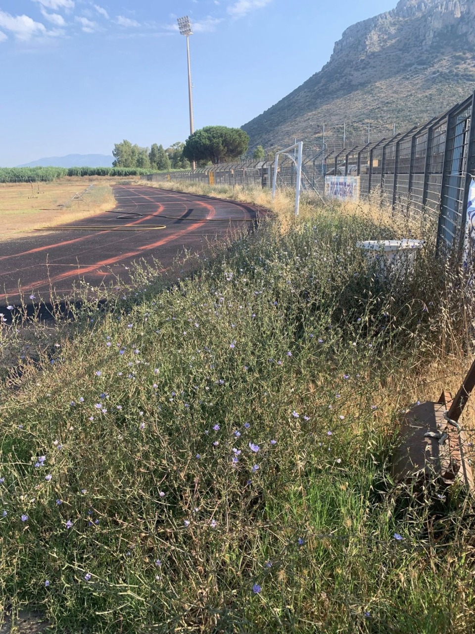 Stadio Mario Colavolpe, degrado assoluto degli impianti sportivi
