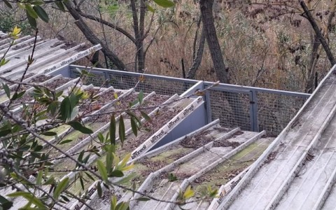 «Un crowdfunding per aiutarci a proteggere in cani dalla pioggia»