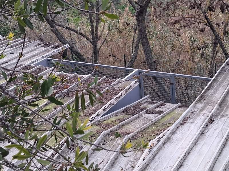 «Un crowdfunding per aiutarci a proteggere in cani dalla pioggia»