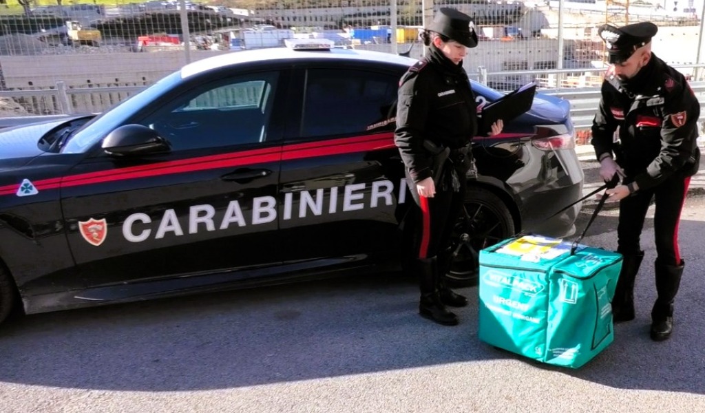 Un rene in “supercar”: i Carabinieri trasportano l’organo da Pavia ad Ancona per un trapianto urgente