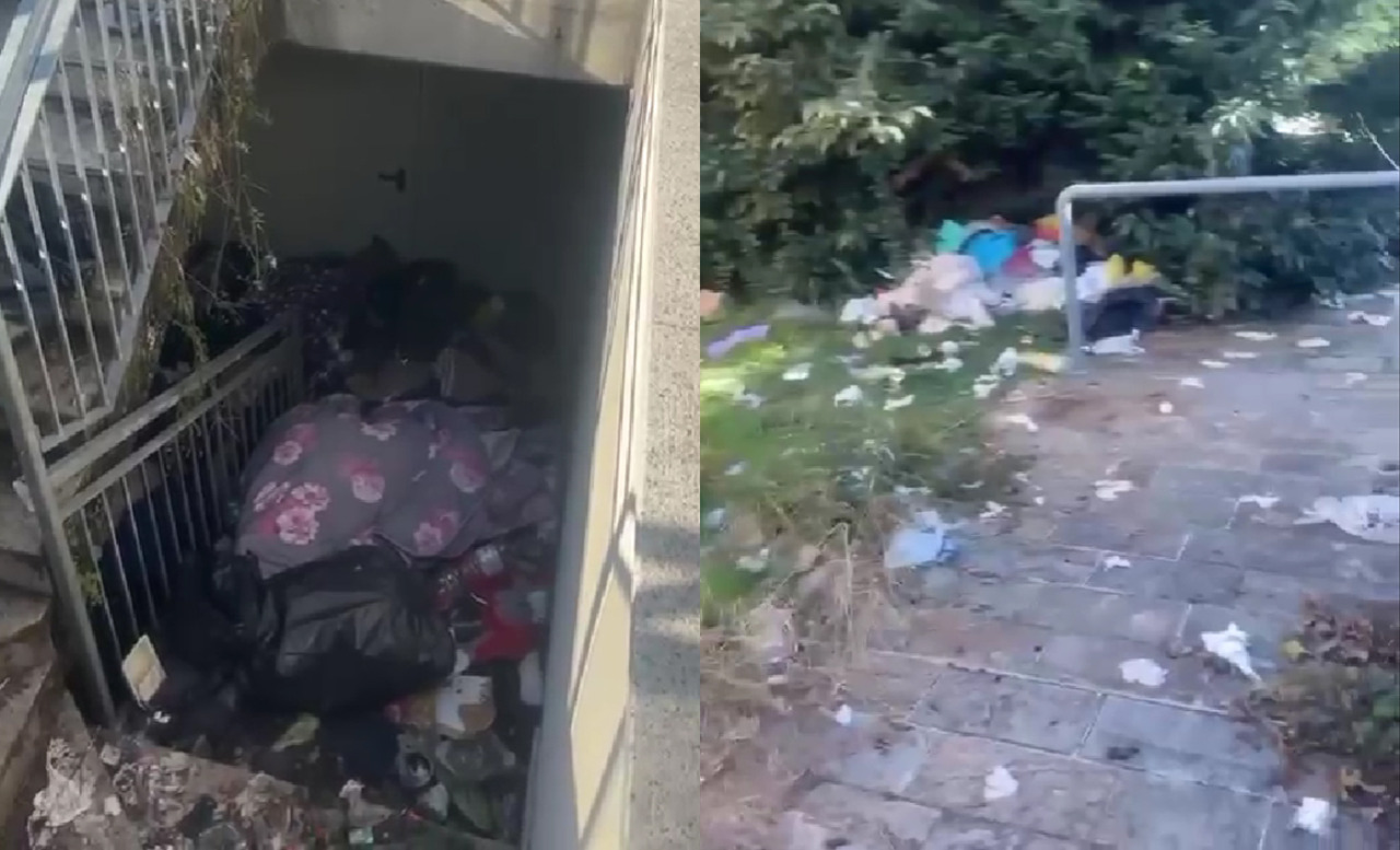 Via Gritti a Bergamo, i video del degrado tra siringhe e topi: «Un angolo dimenticato da Dio, che schifo»