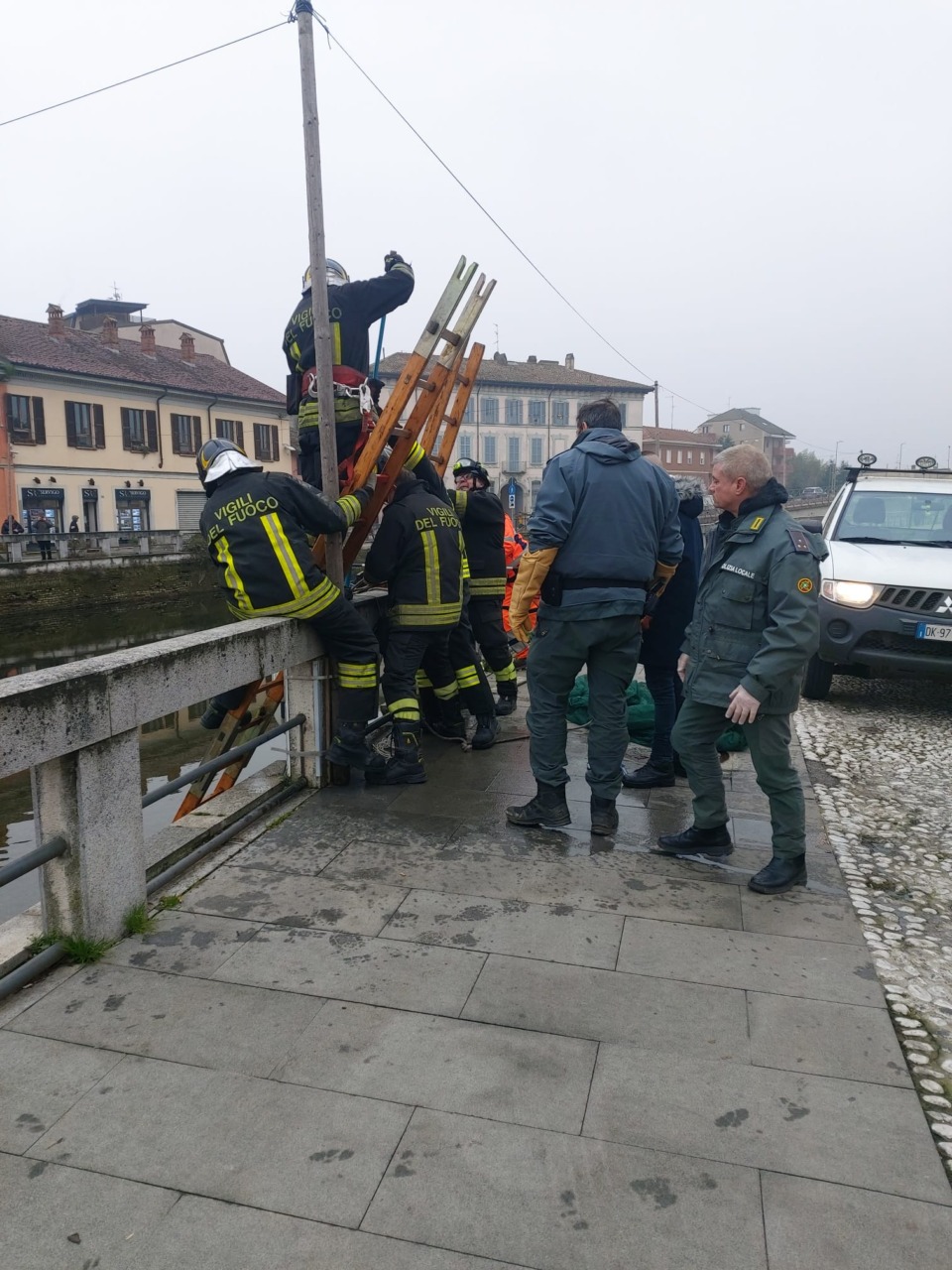 Volpe salvata dal Naviglio Grande