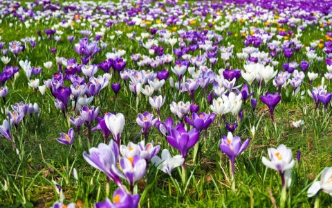 Cambio di stagione: come preparare il corpo e la mente all’arrivo della primavera