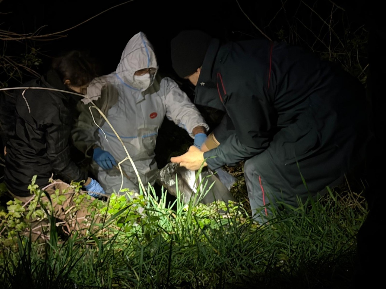 Cimitero clandestino di animali, spuntano altre ossa: i cani ritrovati salgono a 45
