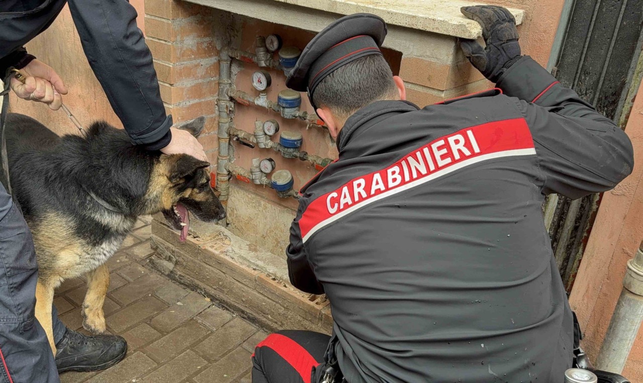 Controlli antidroga, arrestate 19 persone