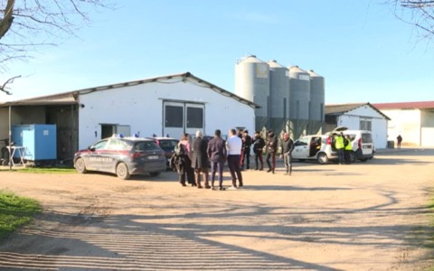 E’ un 32enne nigeriano l’operaio morto sul lavoro a Isola della Scala, impigliato in un macchinario