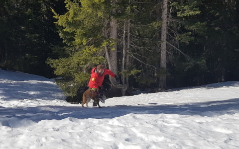 Escursionista si perde in Val Belviso