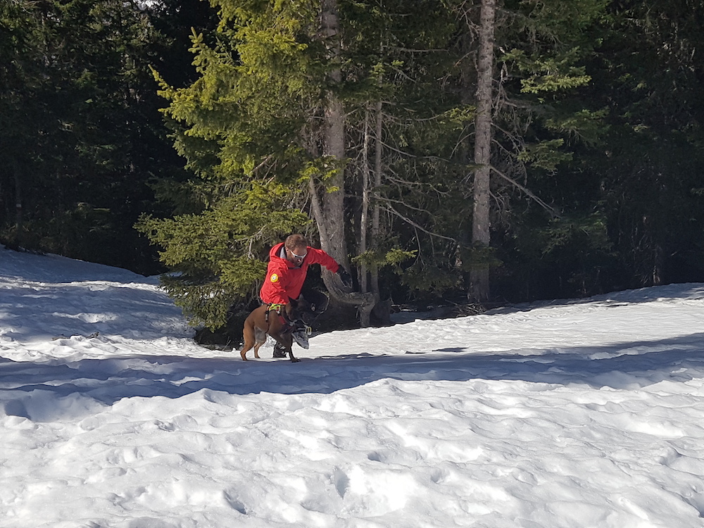Escursionista si perde in Val Belviso