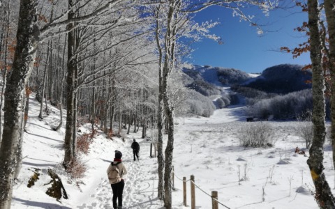 Gli eventi della settimana nelle Valli del Parco dell’Aveto