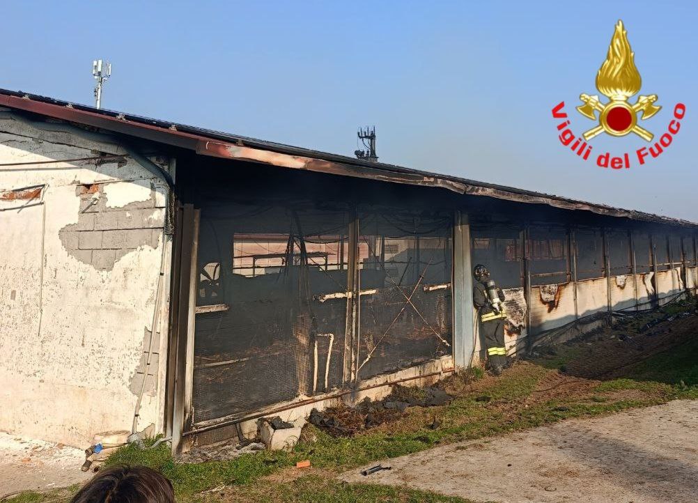 Isorella: a fuoco il tetto di un capannone per l’allevamento avicolo