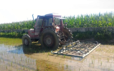 La filiera del riso è al collasso e chiede aiuto