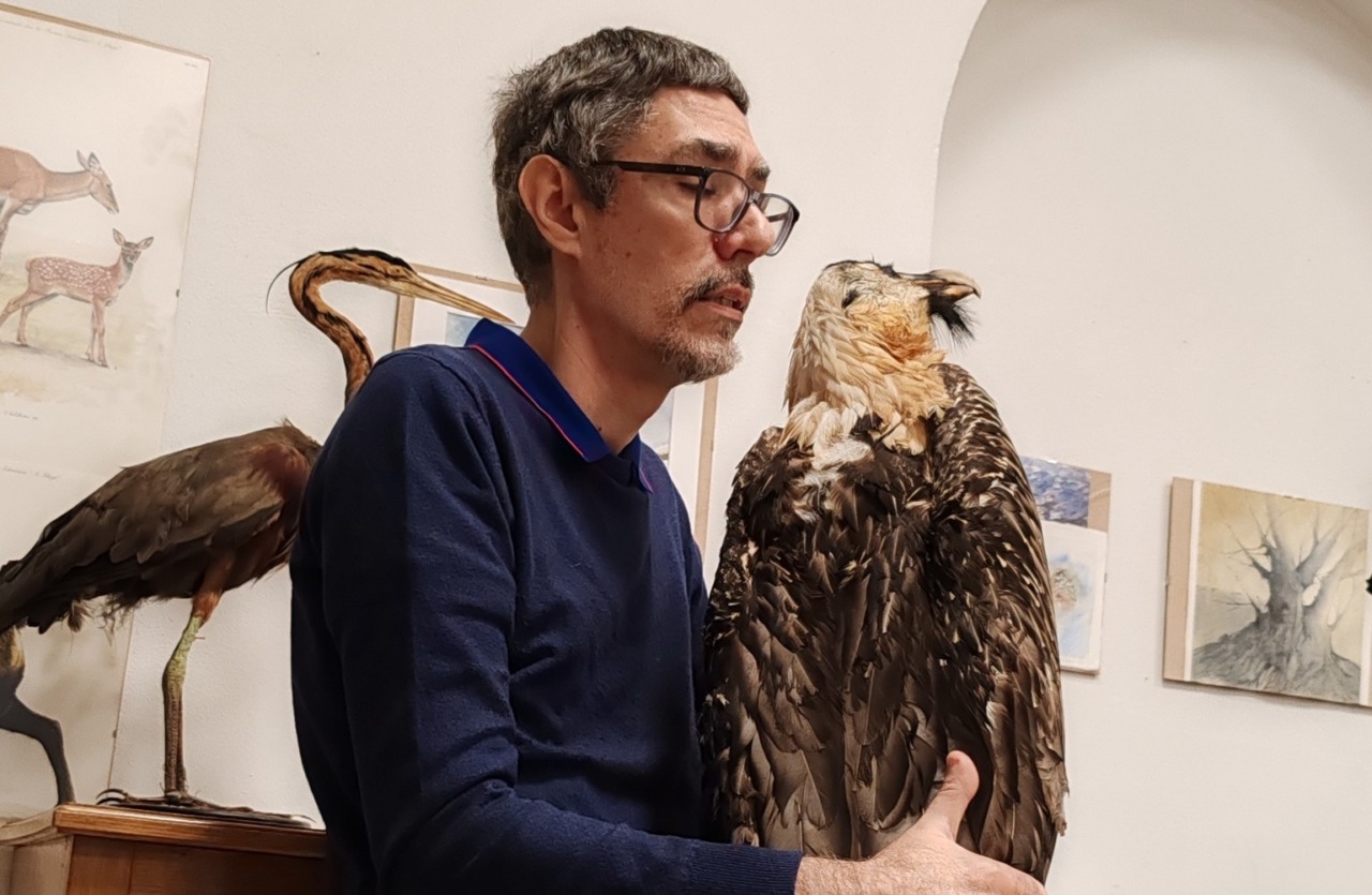 La nuova collezione Marietti va ad arricchire il Museo Faraggiana Ferrandi