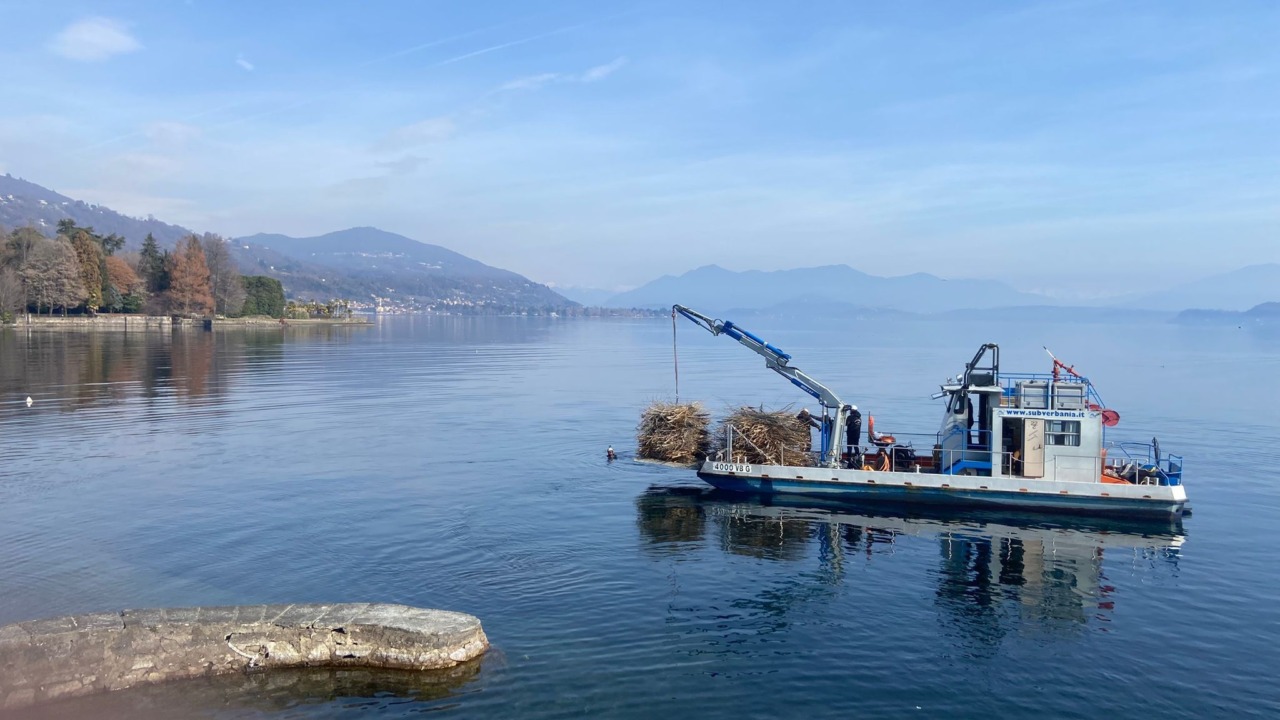 L’amministrazione di Meina sostiene il progetto Incubatoio Naturale