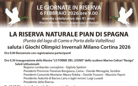 Le forme del legno: arte, montagna e sport nella Riserva Pian di Spagna – Lago di Mezzola