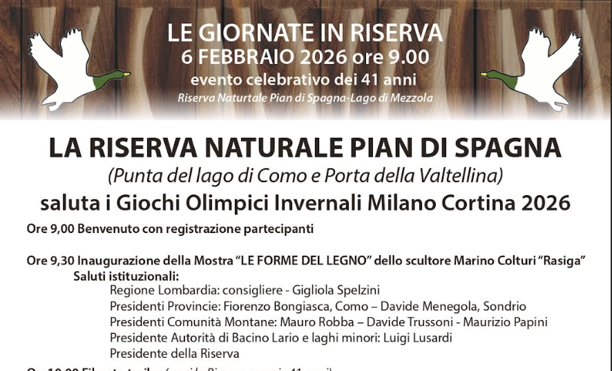 Le forme del legno: arte, montagna e sport nella Riserva Pian di Spagna – Lago di Mezzola