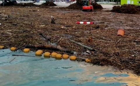 Maltempo, dopo la piena cumuli di tronchi e detriti alle foci Tevere