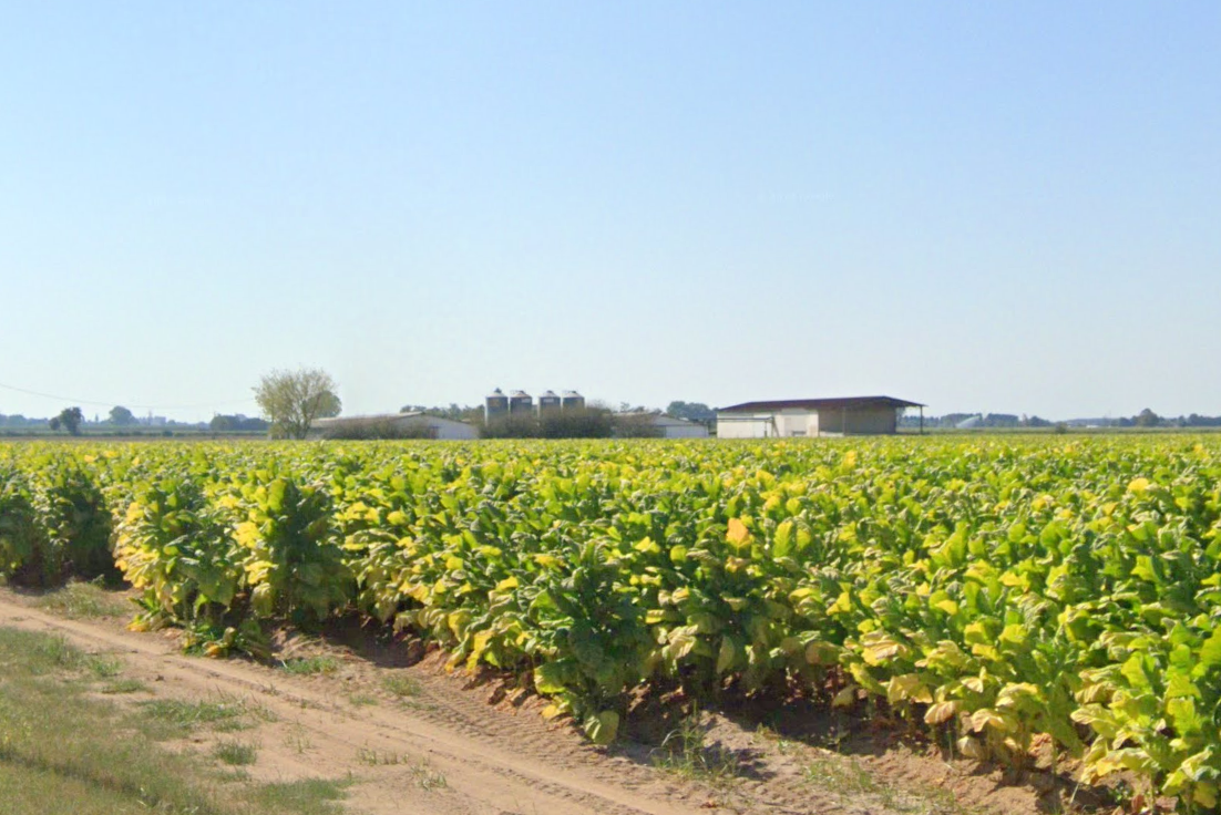 32enne morto sul lavoro a Isola della Scala in via San Zeno