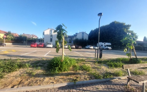 Opposizioni contro l’ampliamento  delle bancarelle in piazza Orchidea