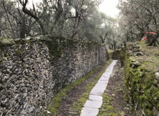 Parco Museo Tigullio, tre nuovi itinerari verticali e  300 siti mappati