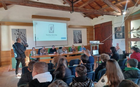 Premio Digital Invictus, la prima edizione “Lo sport tra le righe”