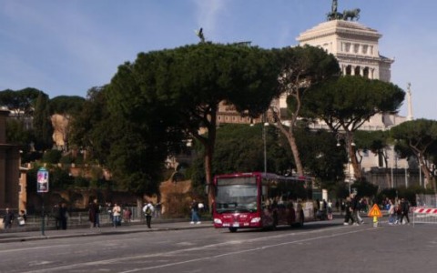 Riaperta via dei Fori Imperiali, era chiusa dal primo febbraio per il crollo dei pini