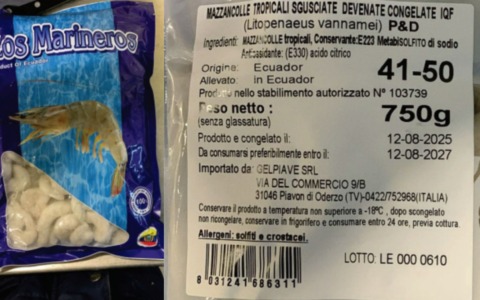 Richiamo alimentare per le mazzancolle commercializzate a Oderzo: rilevato stafilococco